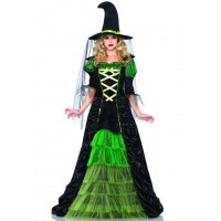 Storybook Witch Costume Gown