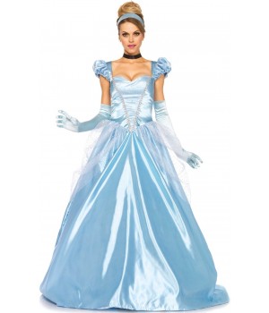 Classic Cinderella Womens Halloween Costume