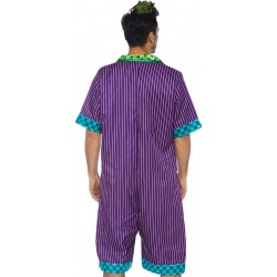 Gotham Super Villain Mens Comfortable Costume