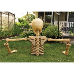 Grave Breaker Skeleton - 4 Foot Posable Halloween Decoration