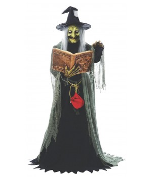 Spell-Casting Witch Animated Halloween Decoration