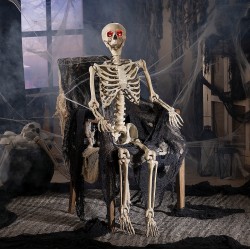 Life Size Posable Skeleton