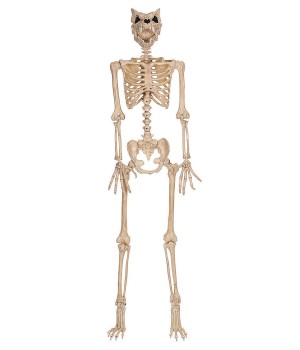 Werewolf Skeleton 5 Foot Decoration