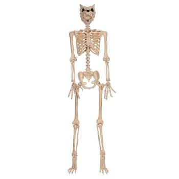 Werewolf Skeleton 5 Foot Decoration