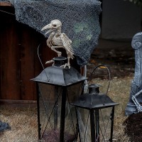 Raven Skeleton Bird Creepy Decoration