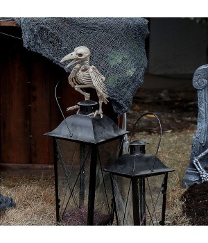 Raven Skeleton Bird Creepy Decoration