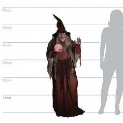 Soothsayer Witch Animated Digiteye Halloween Decoration