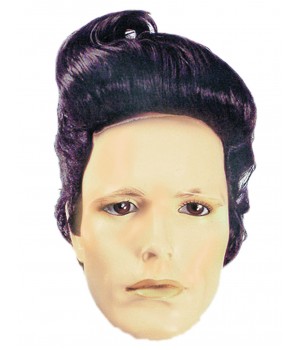 Ace Ventura Adult Wig - Black