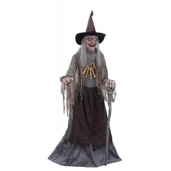 Witch Animated Halloween Crone