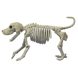 Beagle Bonez Dog Skeleton Creepy Decoration