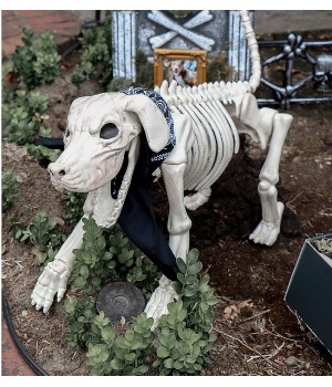 Beagle Bonez Dog Skeleton Creepy Decoration