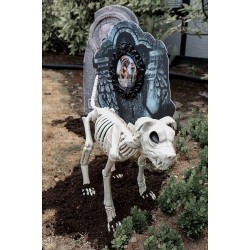 Buster Bonez Dog Skeleton Decoration