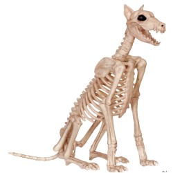 Doberman Dog Skeleton Haunted Prop