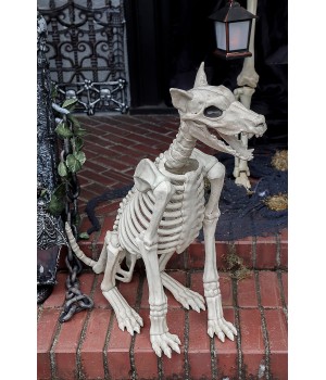 Doberman Dog Skeleton Haunted Prop