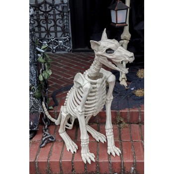 Doberman Dog Skeleton Haunted Prop