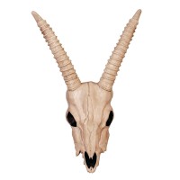 Gazelle Skeleton Skull Creepy Decoration