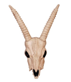 Gazelle Skeleton Skull Creepy Decoration