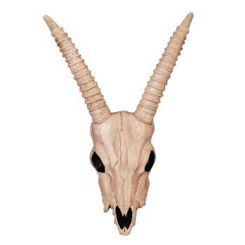 Gazelle Skeleton Skull Creepy Decoration