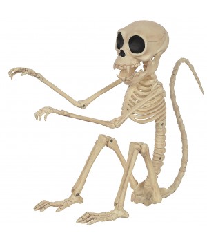 Monkey Skeleton Posable Prop