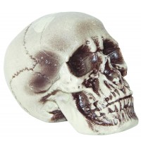 Human Skull Realistic Plastic Decoration