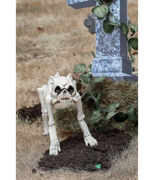 Skeleton Bones the Dog Decoration