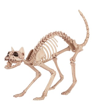 Skeleton Cat Creepy Decor