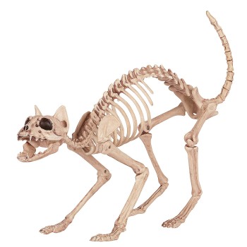 Skeleton Cat Creepy Decor