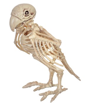 Skeleton Parrot Prop