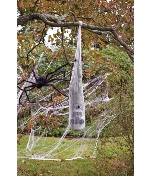 Skull in Spider Cocoon Halloween Prop