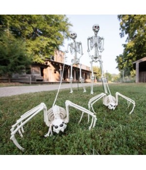 Spider Skeleton Halloween Decoration