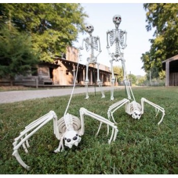 Spider Skeleton Halloween Decoration