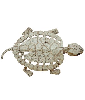 Turtle Skeleton Decoration