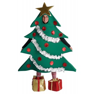 Christmas Costumes & Decor