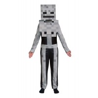 Minecraft Skeleton Video Game Costume - Kids Large