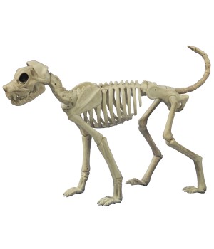 Buster Bonez Dog Skeleton Decoration