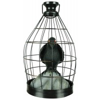 Crow In Cage Animated Decoration